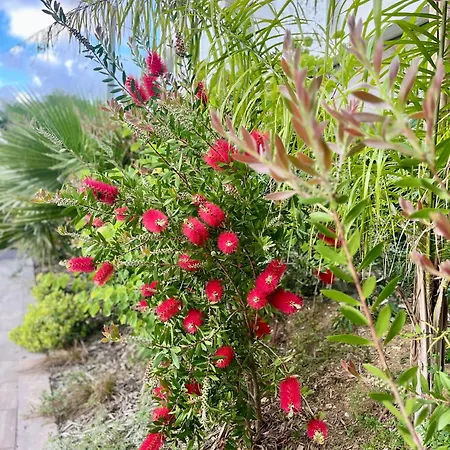 La Douceur Cannoise Soit Un 2p Cosy Terrasse Piscine Vue Jardin Proche A Pied
