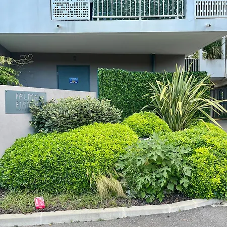 Apartamento La Douceur Cannoise Soit Un 2p Cosy Terrasse Piscine Vue Jardin Proche A Pied Cannes
