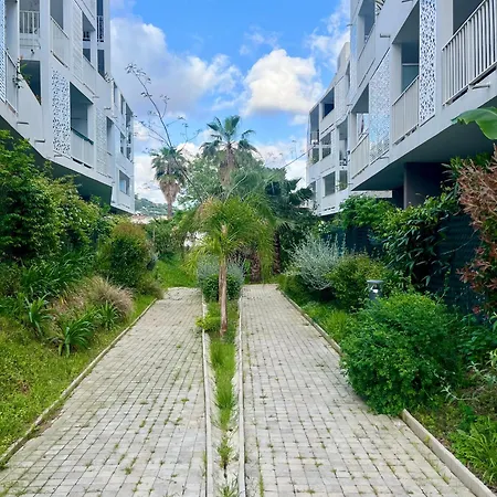 La Douceur Cannoise Soit Un 2p Cosy Terrasse Piscine Vue Jardin Proche A Pied Apartamento