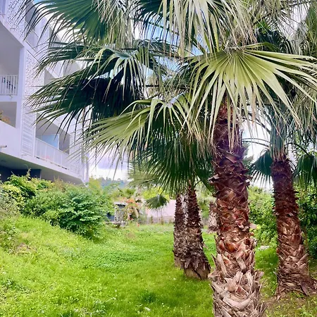 La Douceur Cannoise Soit Un 2p Cosy Terrasse Piscine Vue Jardin Proche A Pied Апартаменты Канны