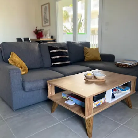 La Douceur Cannoise Soit Un 2p Cosy Terrasse Piscine Vue Jardin Proche A Pied *