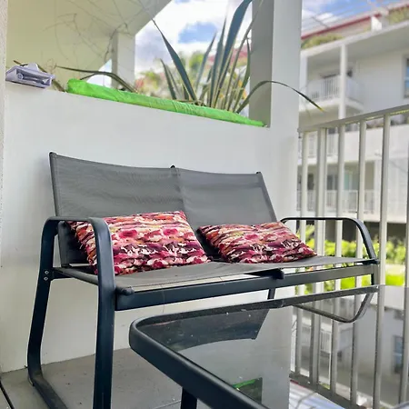 La Douceur Cannoise Soit Un 2p Cosy Terrasse Piscine Vue Jardin Proche A Pied Daire *